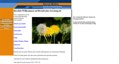 Desktop Screenshot of berndwalter-beratung.de